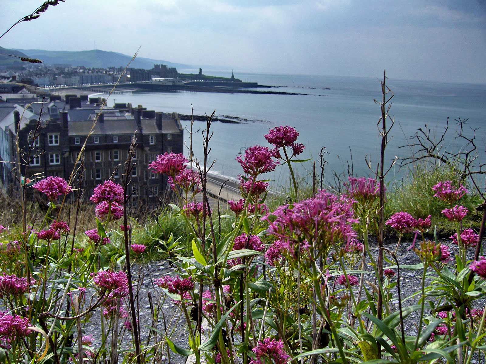Aberystwyth